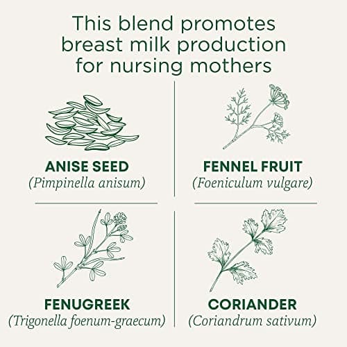 Traditional Medicinals Organic Mother's Milk Women's Tea 32 Count (Pack of 1)